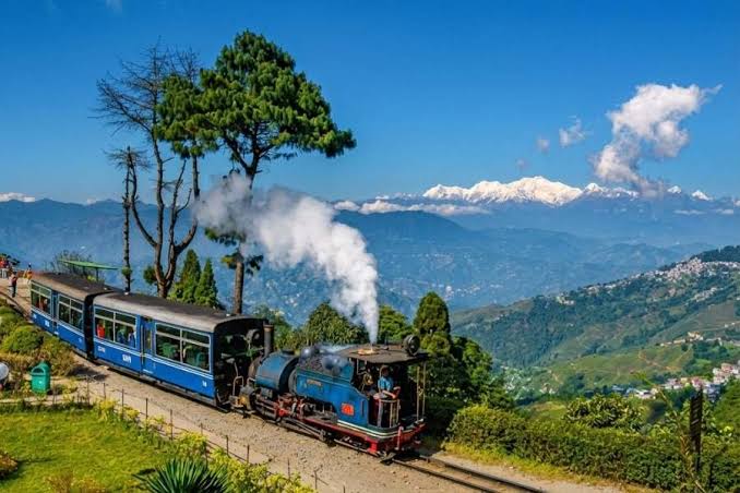 Darjeeling Emerald Tea Gardens