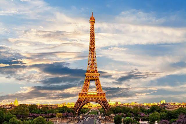 Parisian Architecture and Eiffel Vista